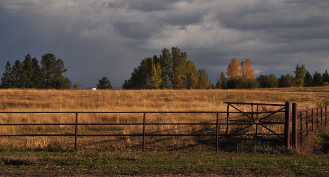 the dude ranch pasture